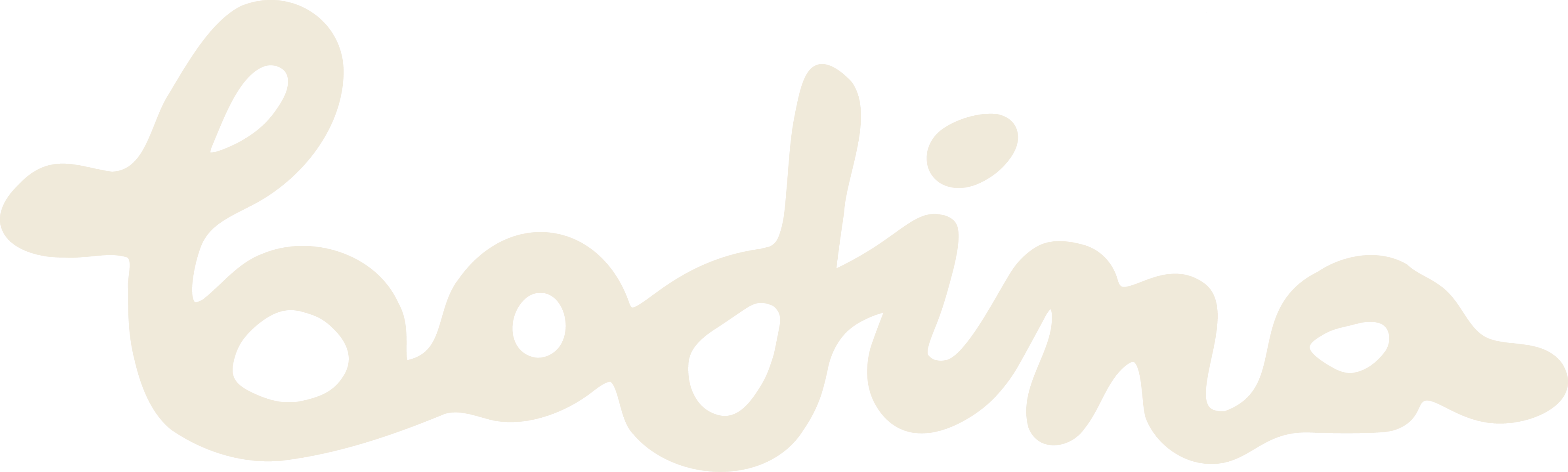 Bodina
